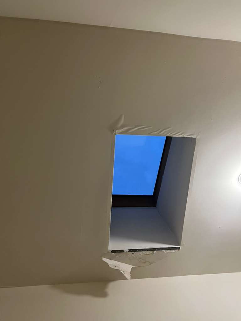 Professional Testing